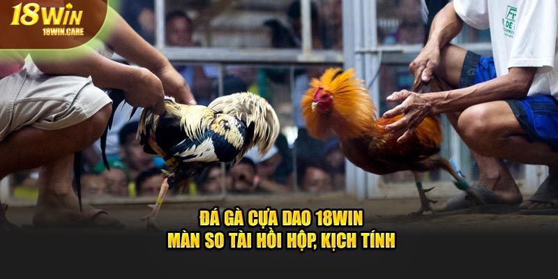 Đá gà cựa dao tại 18Win