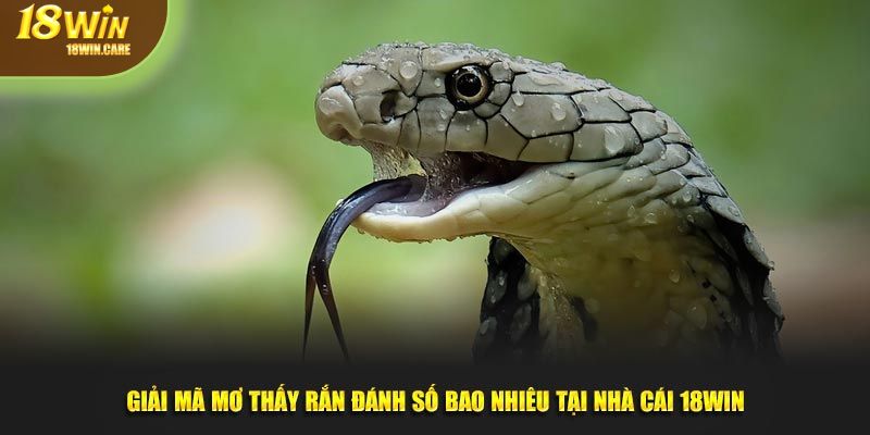 Mơ thấy rắn đánh số bao nhiêu tại 18Win